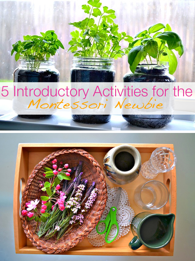 Montessori plant activities for kids - great ideas here for Earth Day!