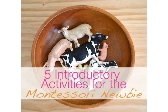 Make Like a Montessori Mama: Part 3 - Animal Activities - Modern Parents  Messy Kids