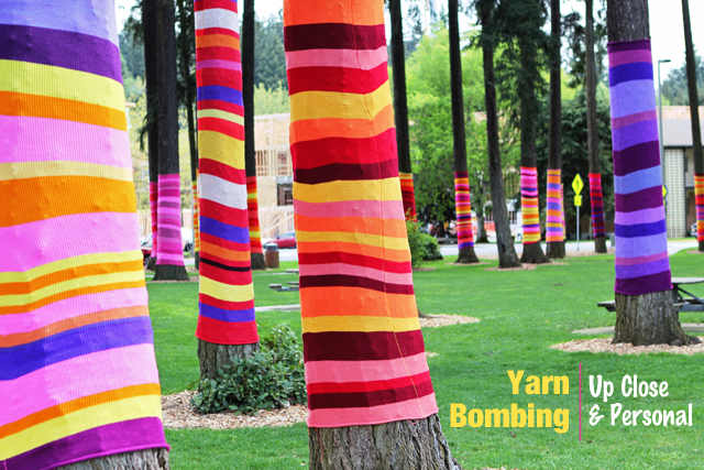Yarn Bombing Trees