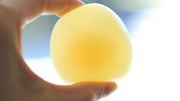 classic science at home: naked egg experiment