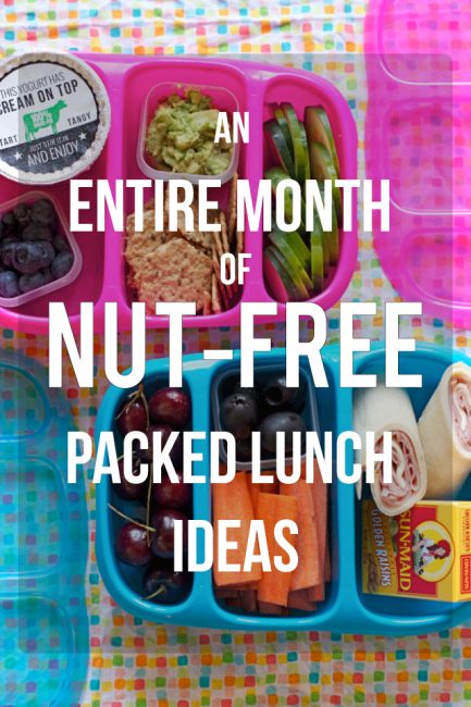 I LOVE this - seriously feel like this one post has equipped me to send healthy, nut-free lunches to school all year!!!