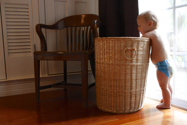Potty Training Tips & Tools