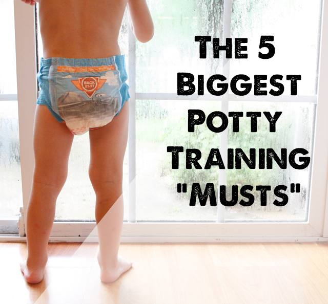 5 Things to know BEFORE You Start Potty Training!