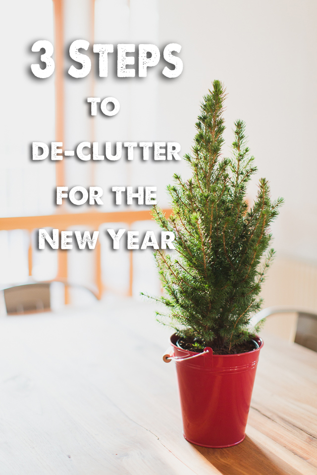 Project Organize Your ENTIRE Life: How to de-clutter and get organized for the New Year